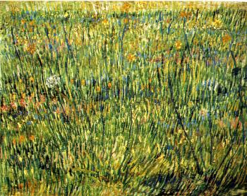 Vincent Van Gogh : Pasture in bloom